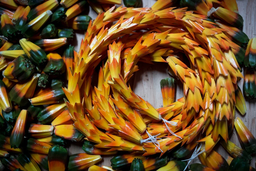 Pine cone arrangement: A vibrant wreath of orange and yellow pine cones sits atop a pile of unarranged green and yellow pine cones, creating a rustic, autumnal display. Photo by Jeff Chun-Lum.