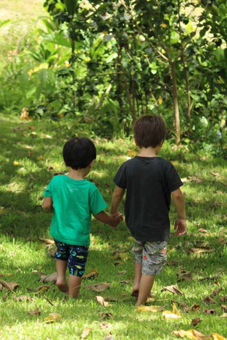 Two young boys in t-shirts and shorts walk hand-in-hand through a grassy park with lush green trees in the background. This image is featured on the ANA Pacific Region website.